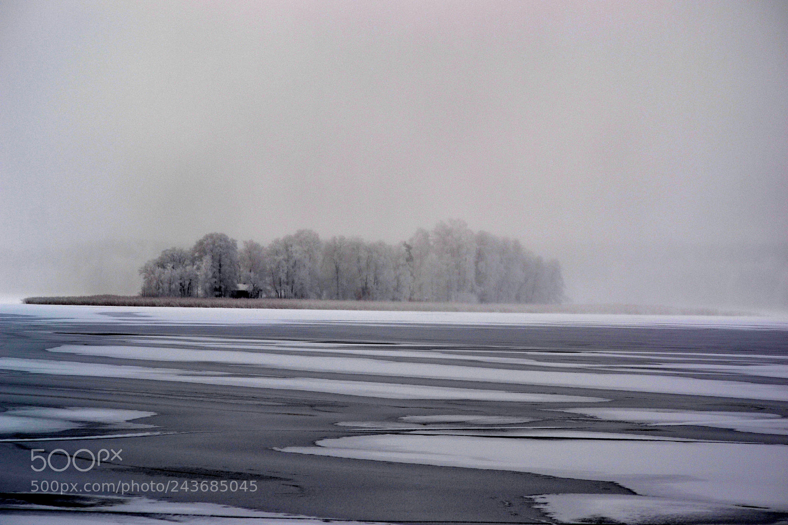 Nikon D3100 sample photo. Winter 2017-2018 photography
