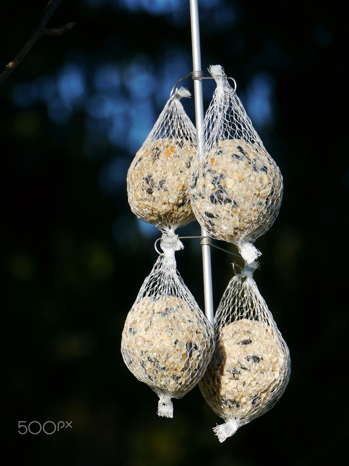 Panasonic Lumix DMC-GH2 sample photo. Food for birds hanging on a tree photography