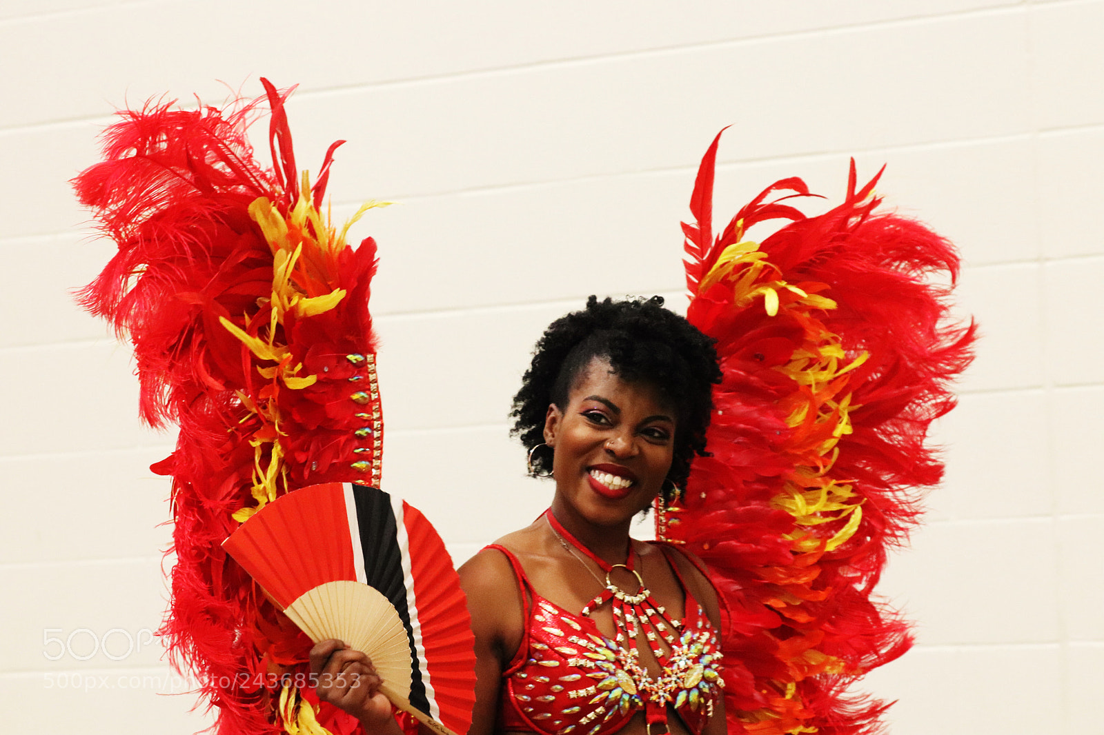 Canon EOS 800D (EOS Rebel T7i / EOS Kiss X9i) sample photo. A beautiful caribbean dancer photography