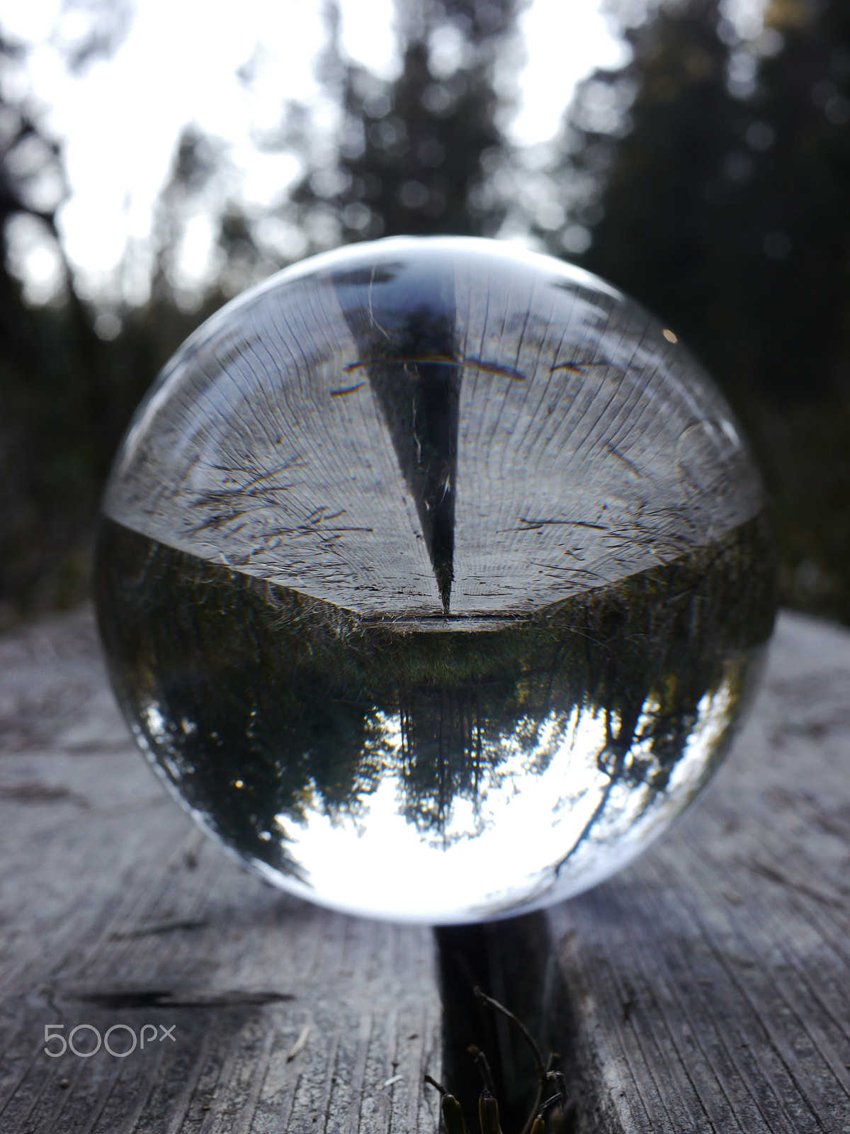 Panasonic Lumix DMC-GH2 sample photo. Bowl on wood which is mirror inverted photography