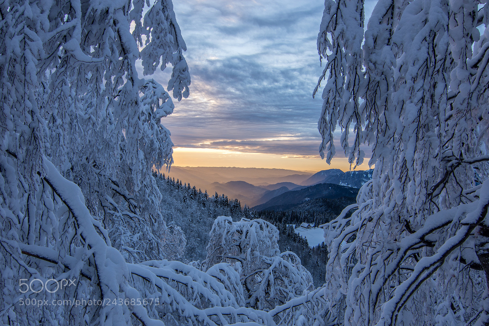 Nikon D7200 sample photo. Blegoš, slovenia photography