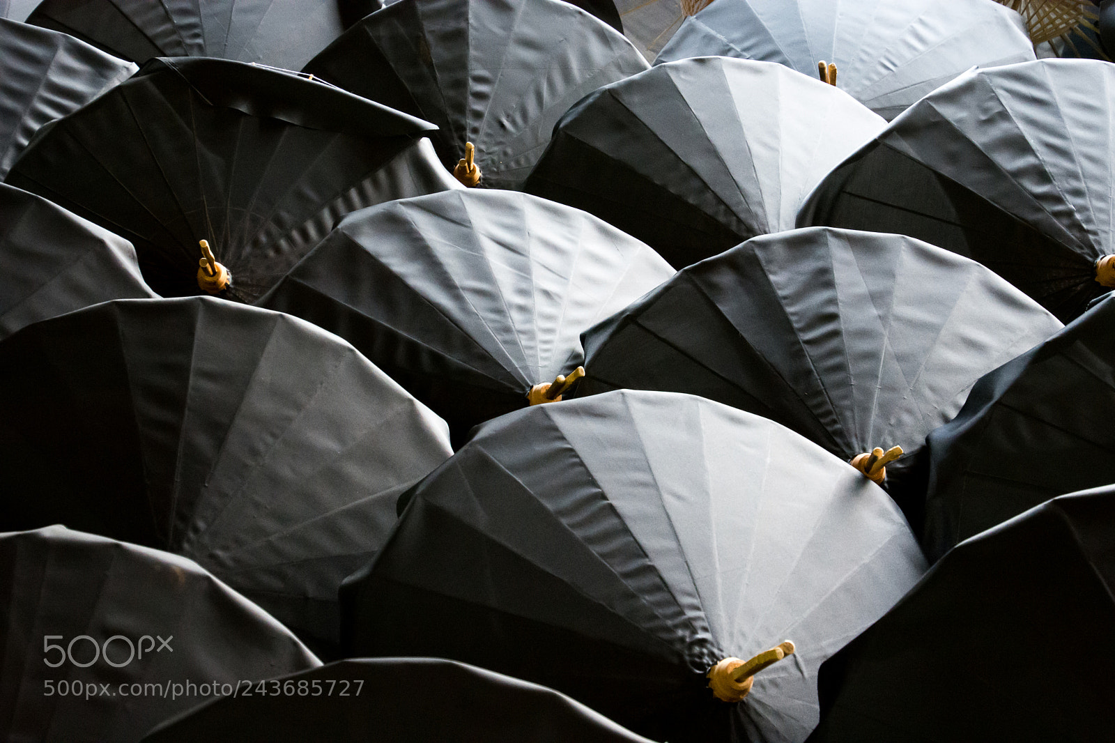 Nikon D7200 sample photo. Umbrellas photography