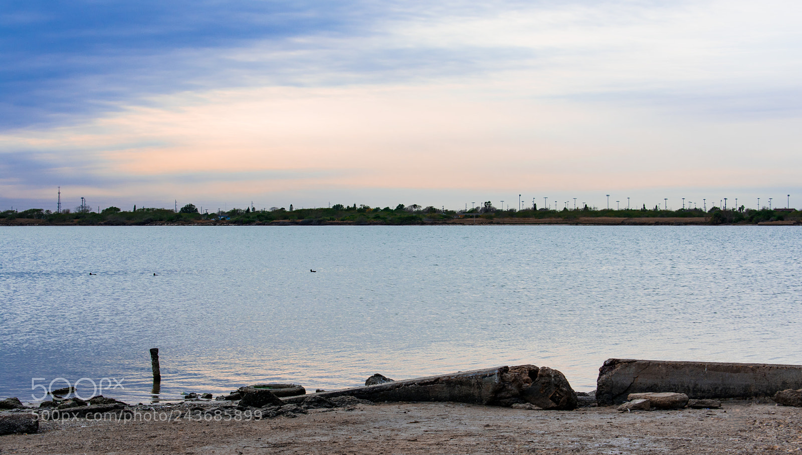 Nikon D3400 sample photo. Poor man's beach photography