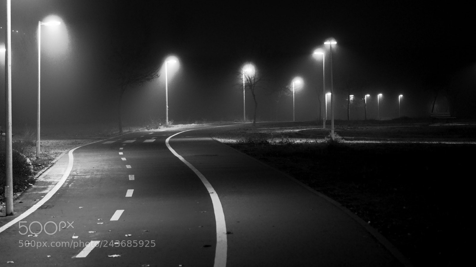 Sony SLT-A58 sample photo. Lines. photography