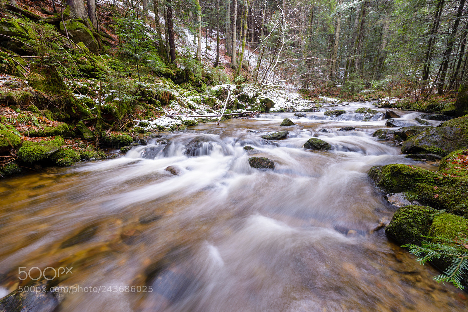 Nikon D600 sample photo. Mountain river, stream, creek photography