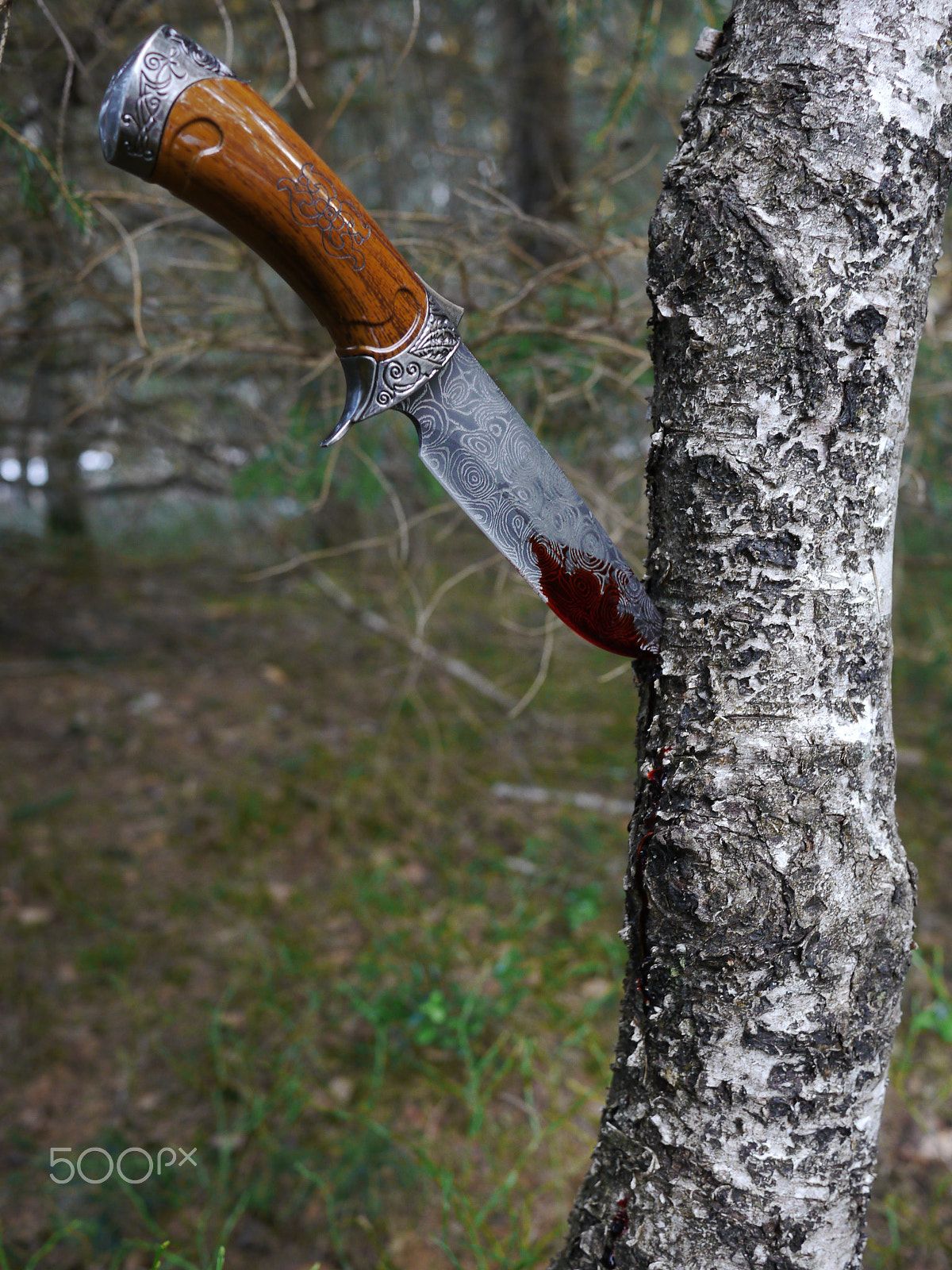 Panasonic Lumix DMC-GH2 sample photo. Knife in forest with blood is sticking on a tree photography