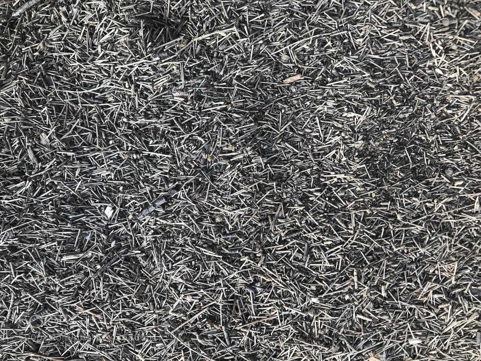 Apple iPhone 7 sample photo. Gray texture photography