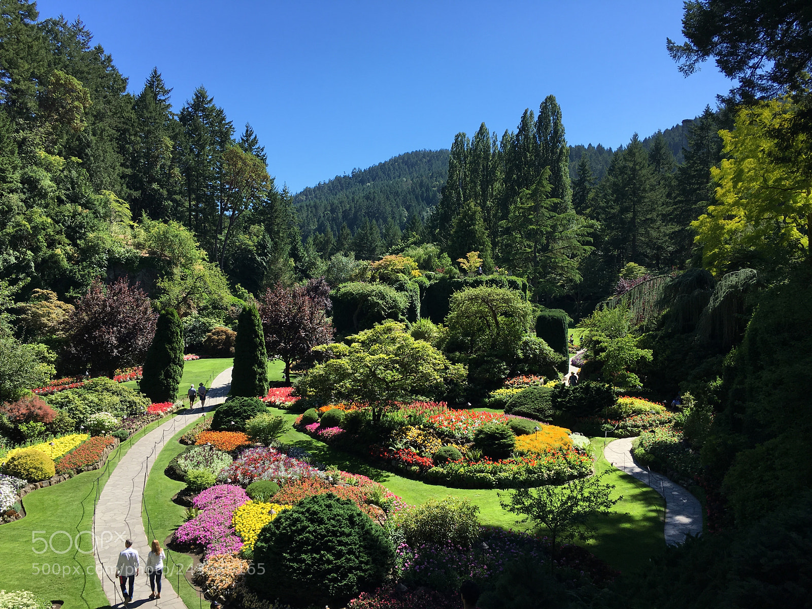 Apple iPhone 6s sample photo. The gardens photography