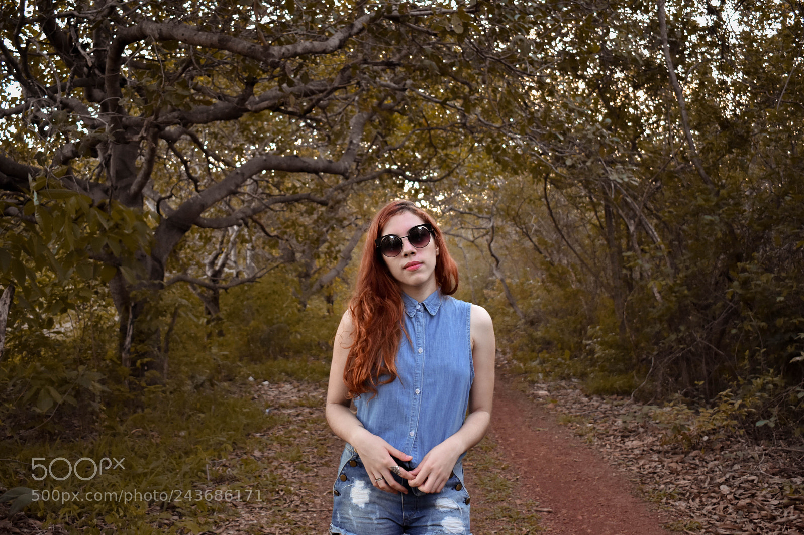 Nikon D3400 sample photo. Your way photography