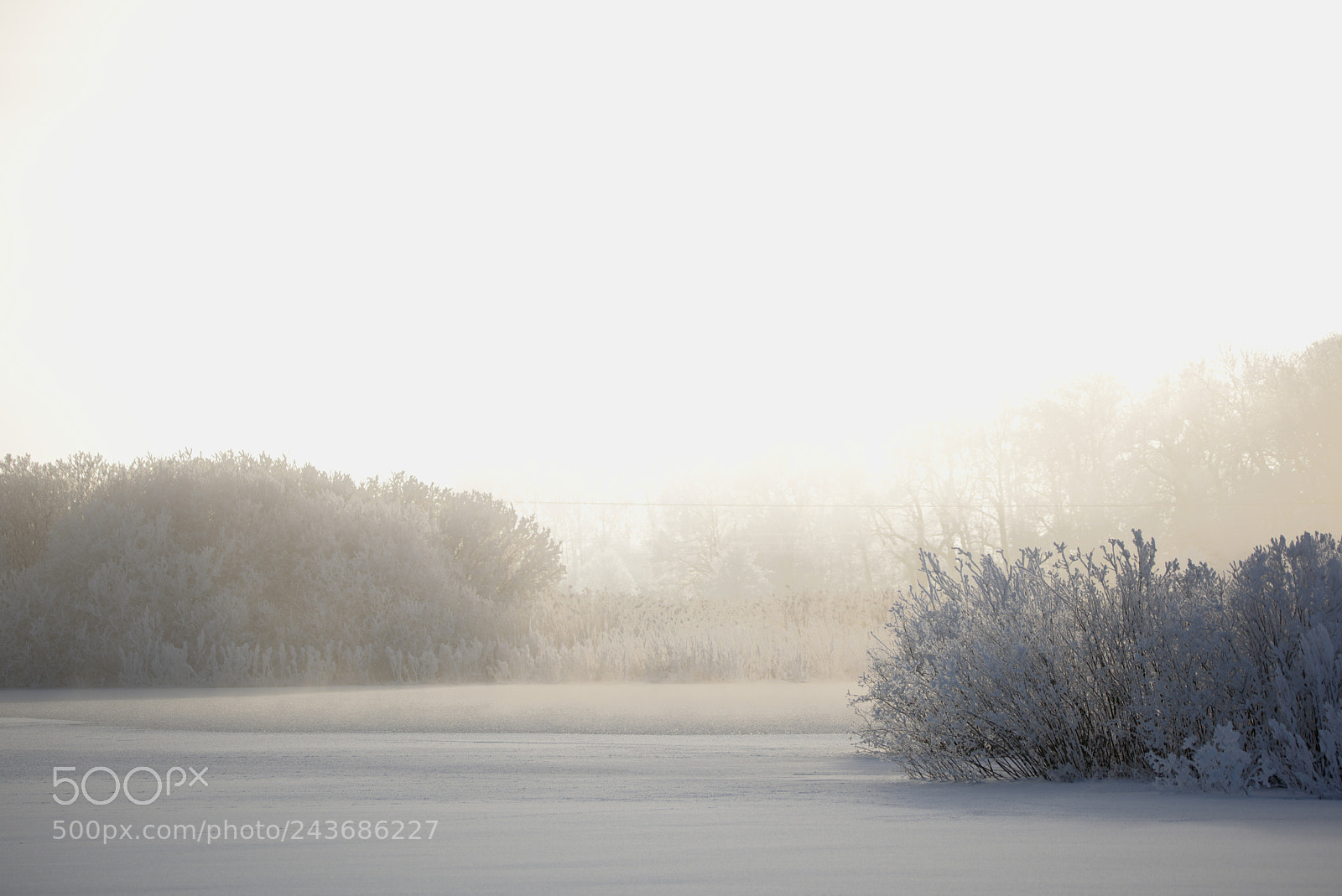 Nikon D810 sample photo. Winter landscape #1 photography
