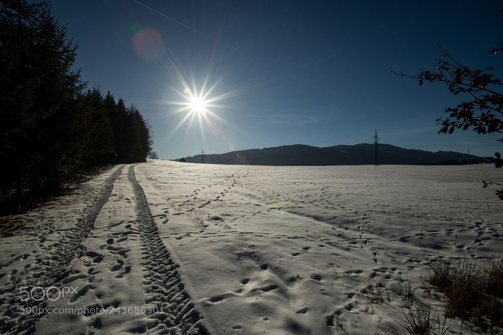 Sony a7 II sample photo. Jänner photography