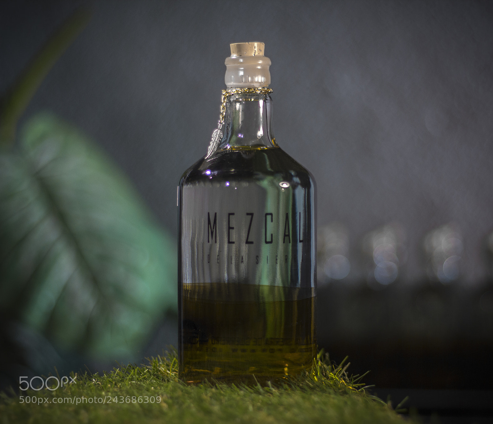 Canon EOS 600D (Rebel EOS T3i / EOS Kiss X5) sample photo. Mezcal de la sierra 2 photography