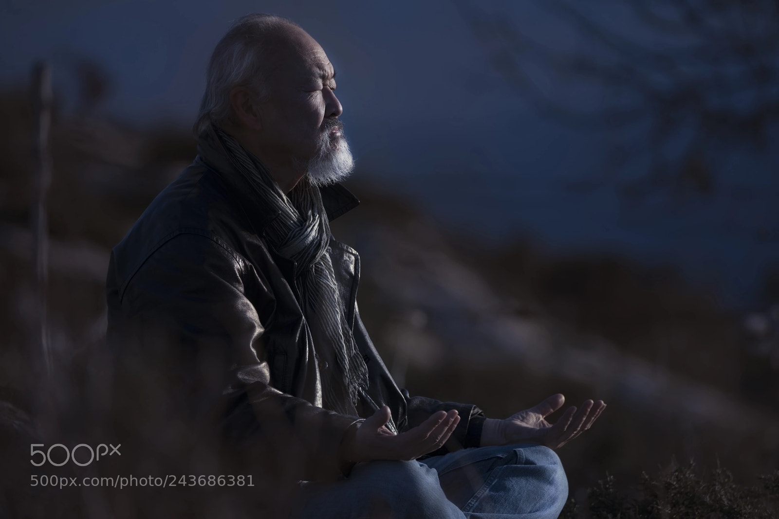 Sony a7R II sample photo. La meditazione del maestro photography