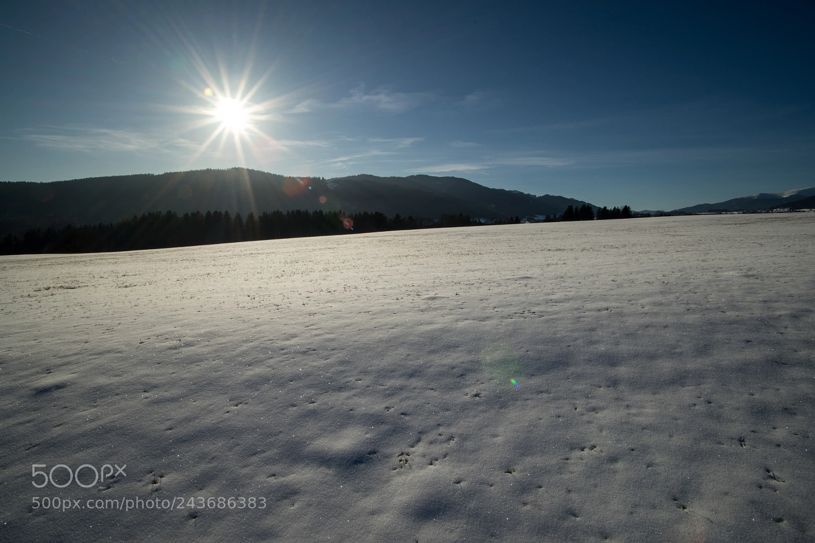 Sony a7 II sample photo. Jänner photography