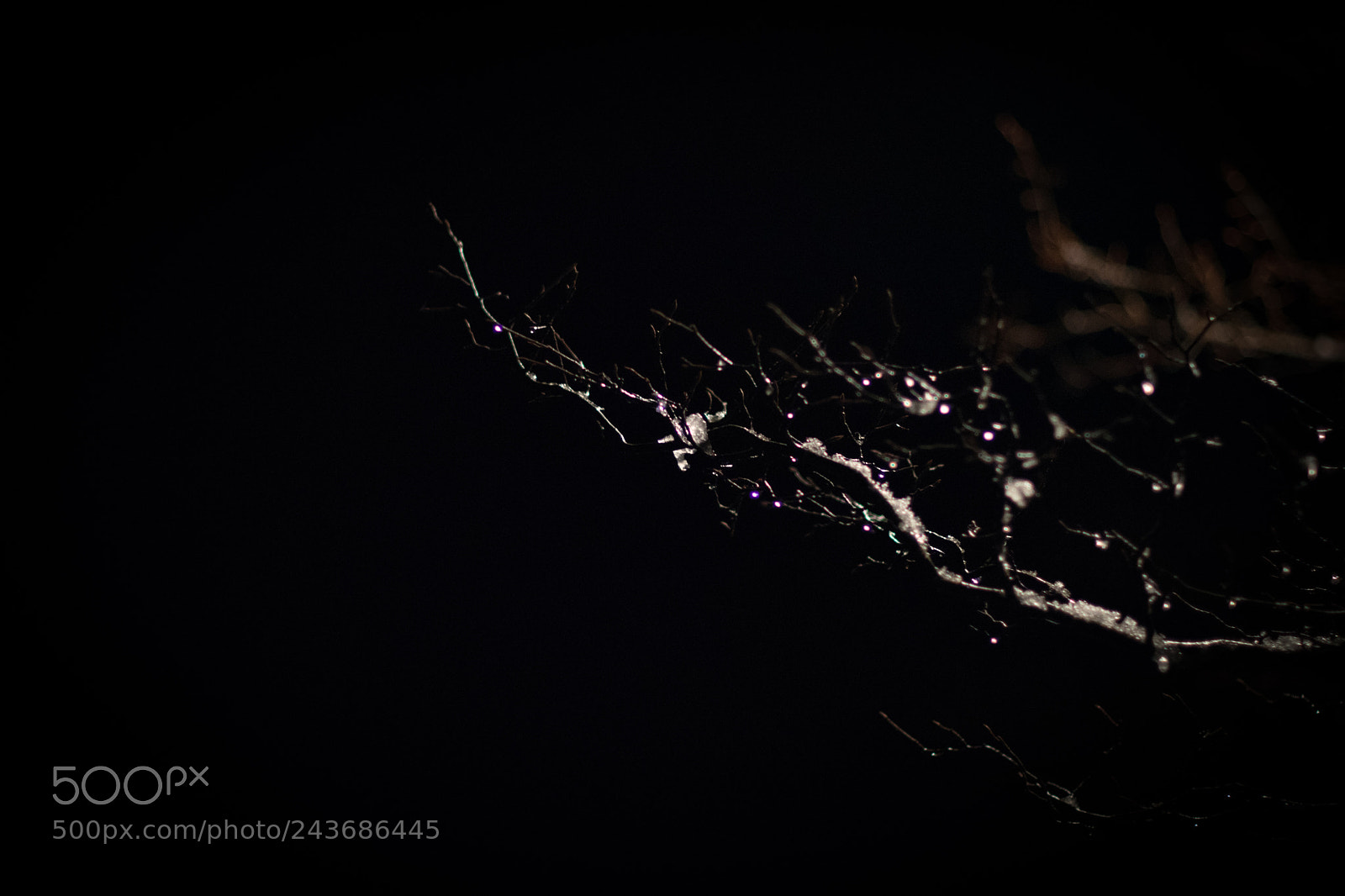 Nikon D5500 sample photo. 03:33 photography