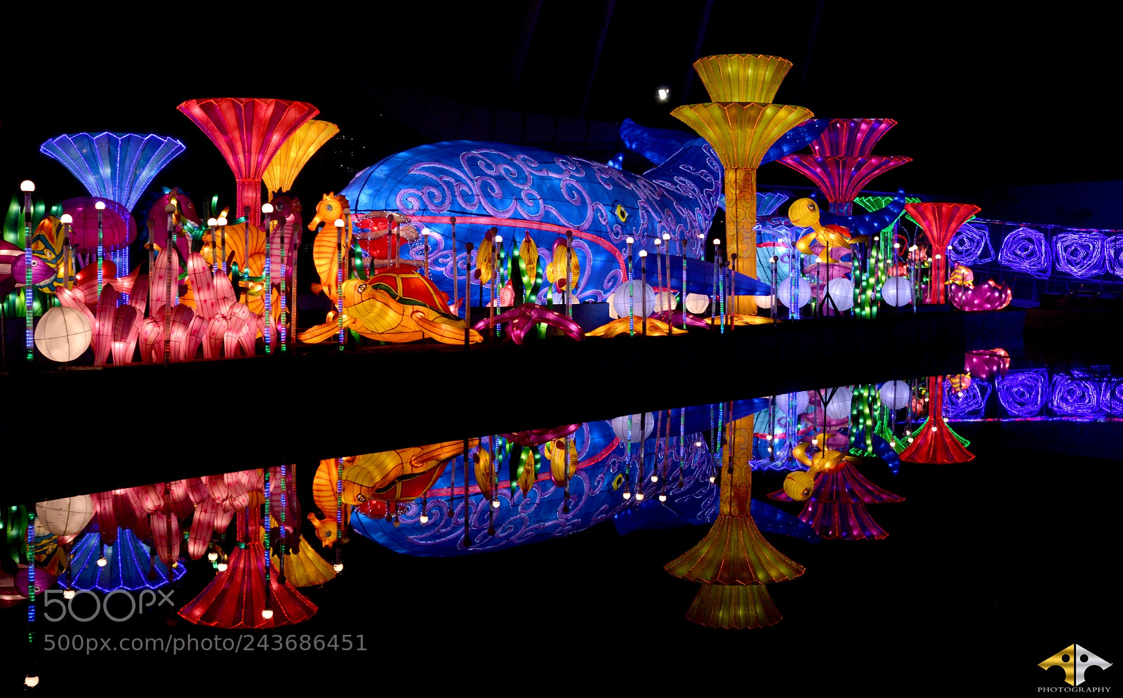 Nikon D3200 sample photo. Dubai garden glow photography