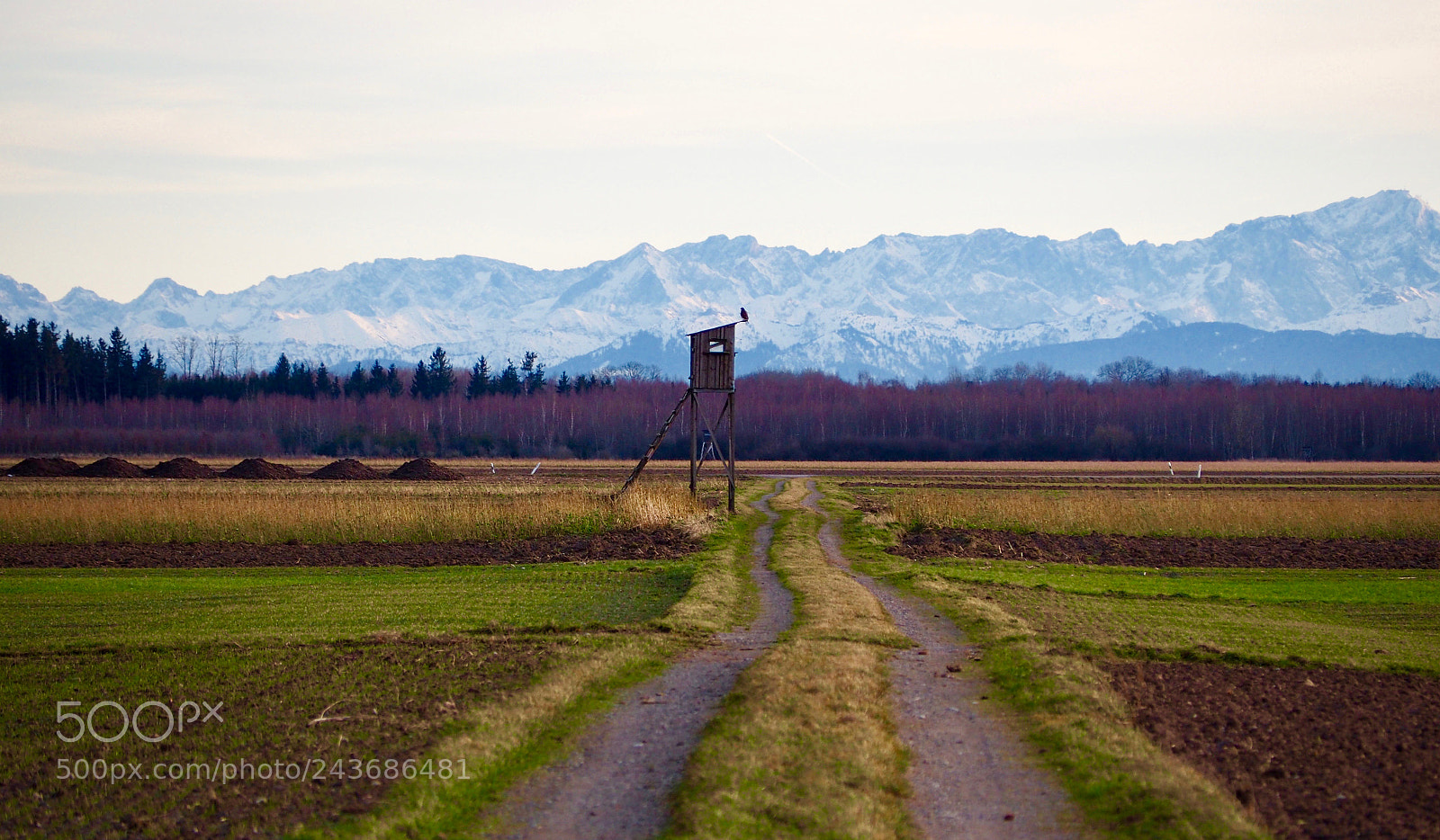 Olympus OM-D E-M5 II sample photo. Facing the southern german photography