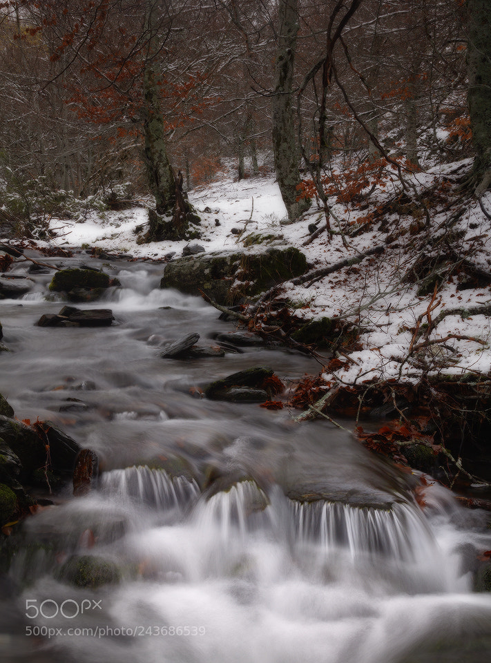 Canon EOS 50D sample photo. Rincones photography