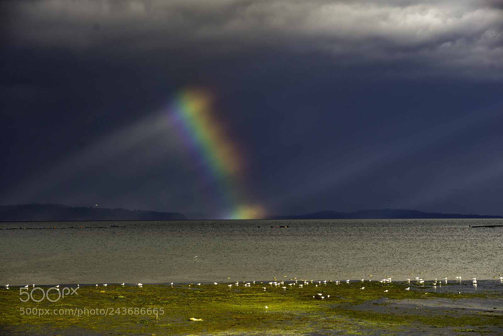Nikon D610 sample photo. Arcoiris photography