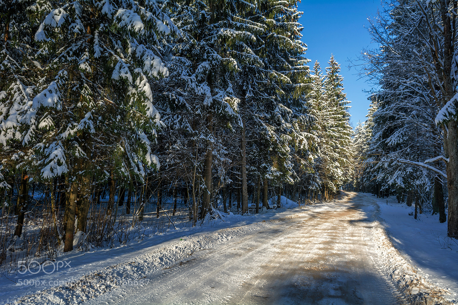 Nikon D7100 sample photo. Winter beauty photography