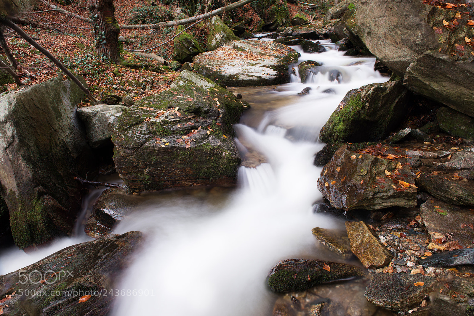 Nikon D600 sample photo. A waterfall in the photography