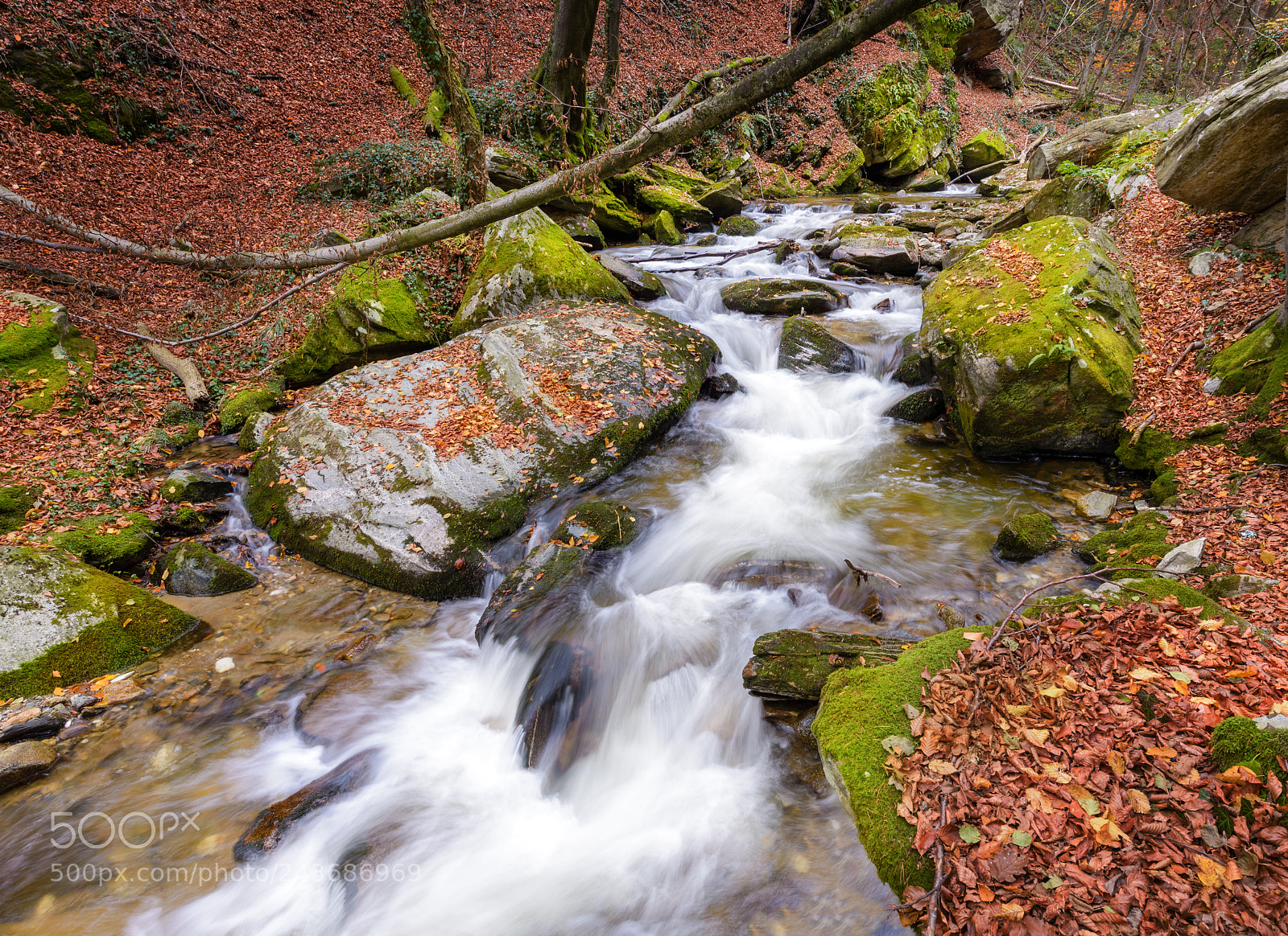 Nikon D600 sample photo. A waterfall in the photography