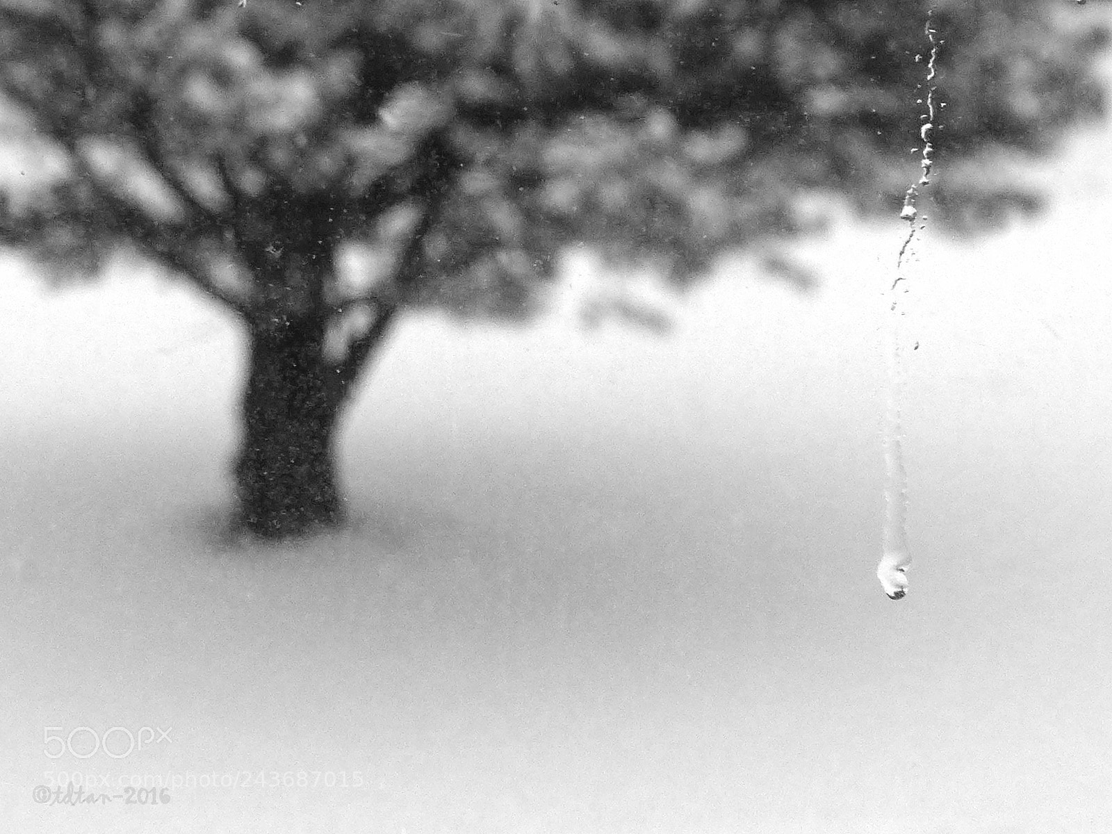 Panasonic Lumix DMC-LX7 sample photo. Tear drop photography