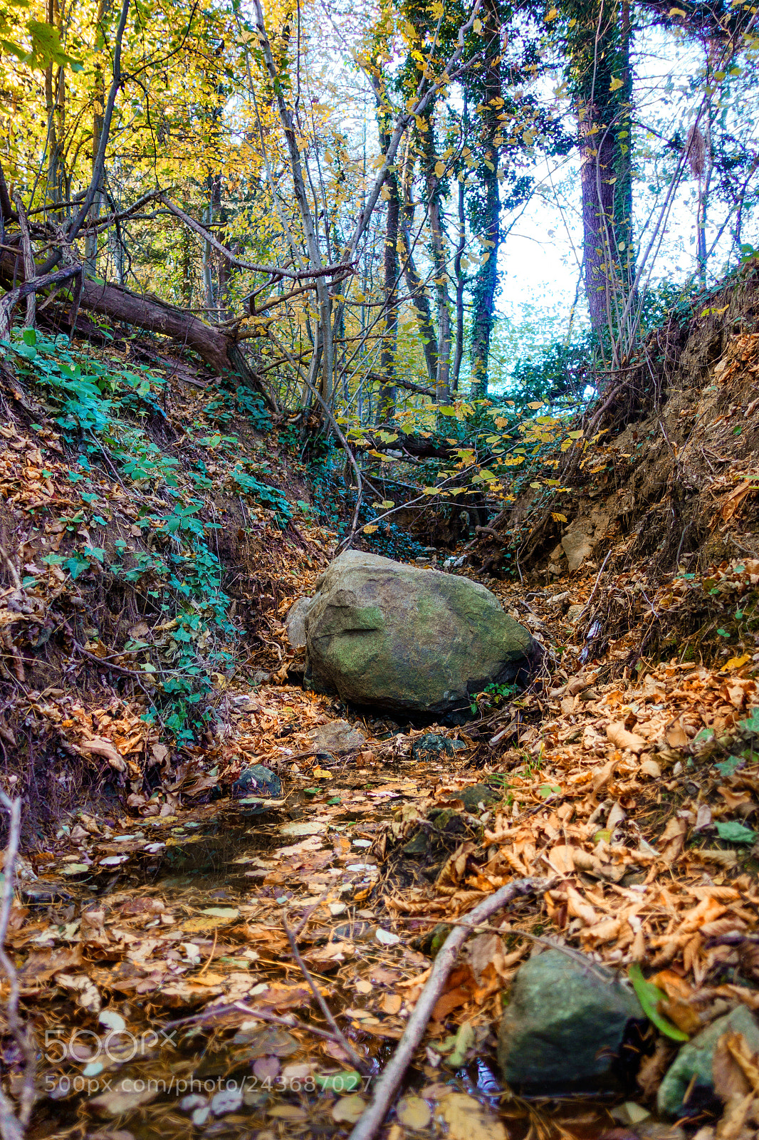 Sony DSC-RX100M5 sample photo. A small scenic gorge photography