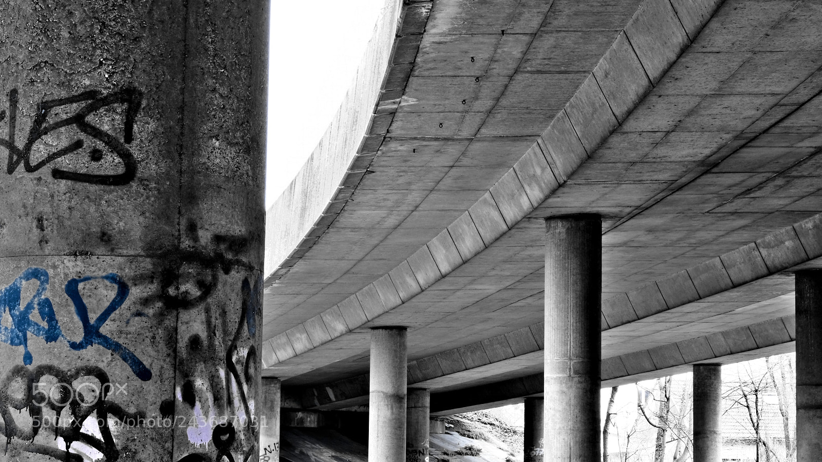 Fujifilm X-T2 sample photo. Concrete jungle photography