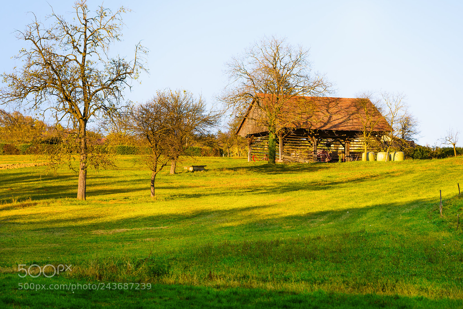 Nikon D600 sample photo. Old wooden barn in photography