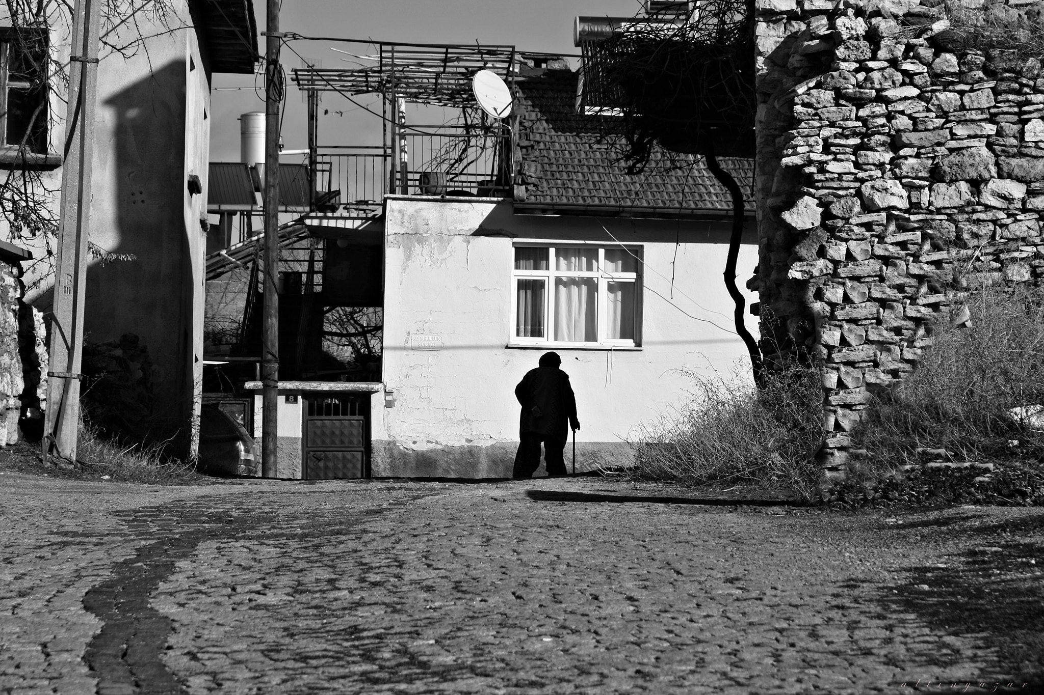 Canon EOS 40D sample photo