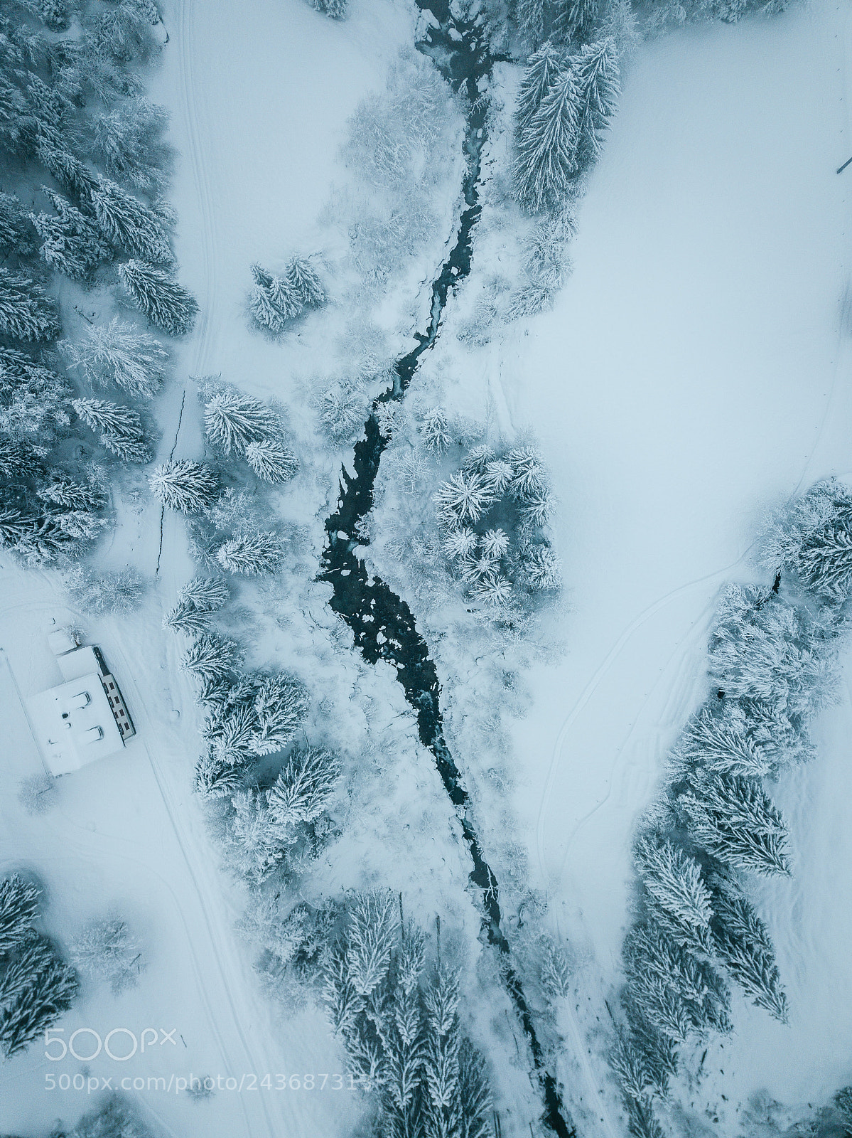 DJI FC220 sample photo. Winter housing photography