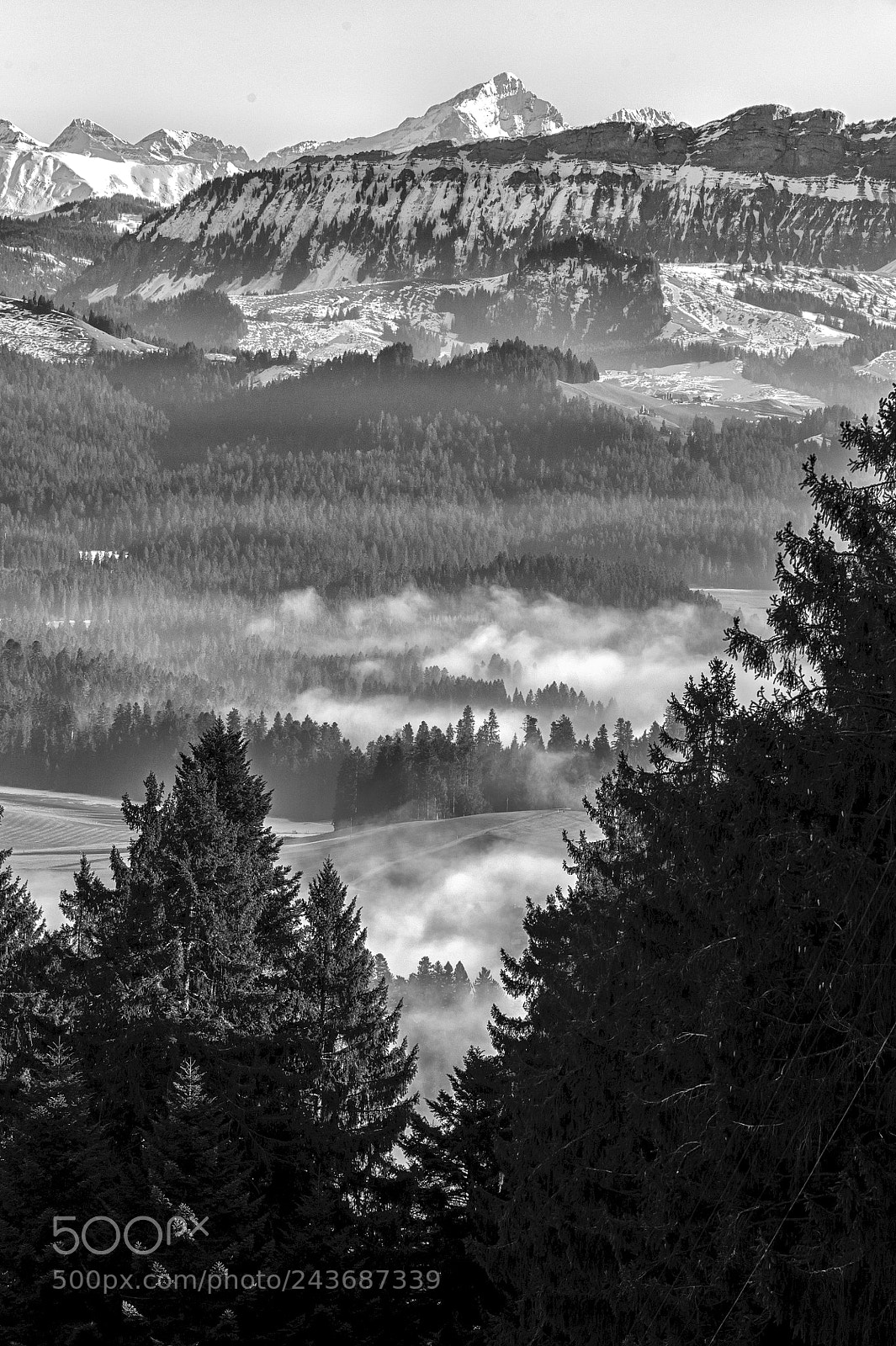 Nikon D700 sample photo. Bernese oberland * foggy valley photography