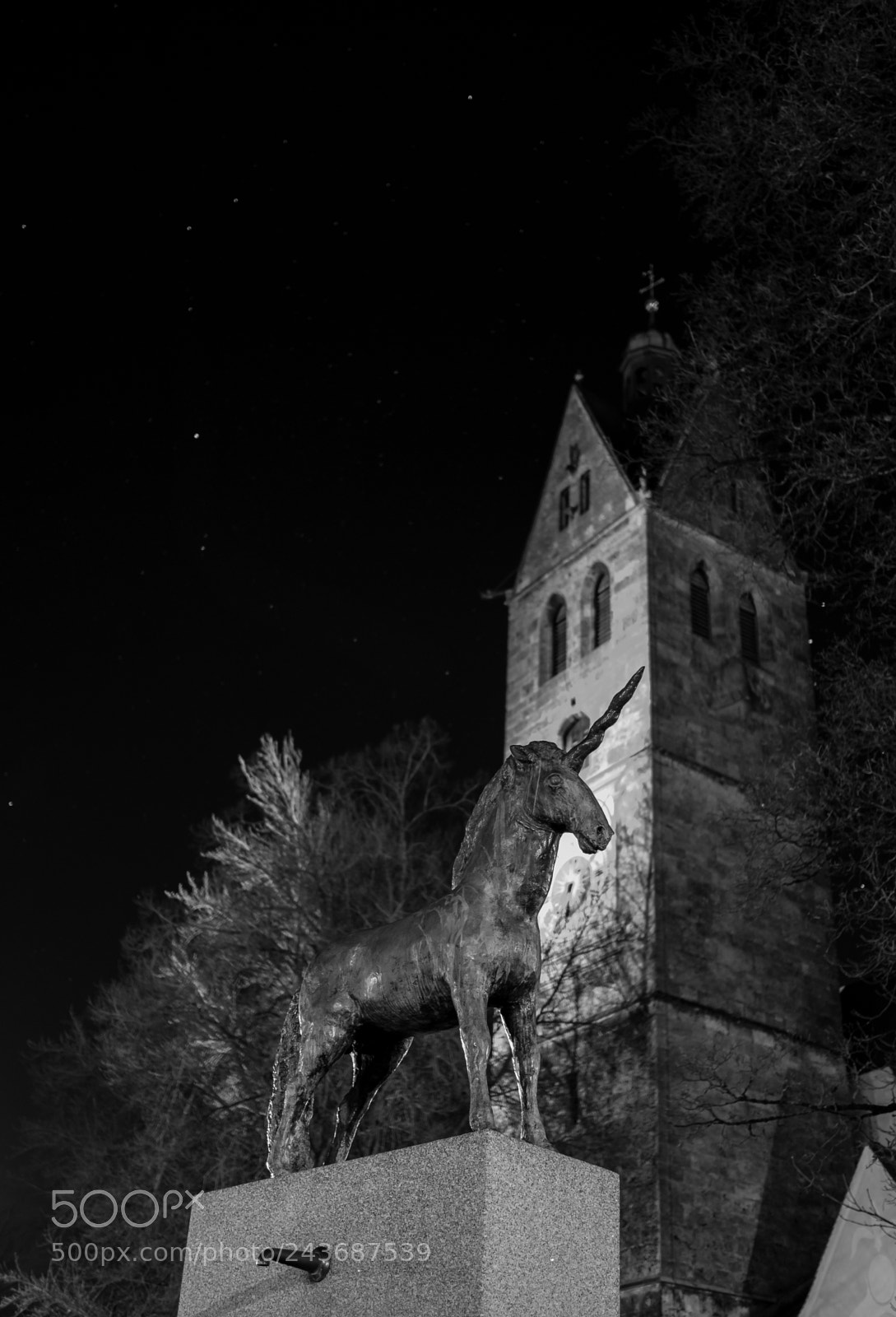 Panasonic Lumix DMC-GX85 (Lumix DMC-GX80 / Lumix DMC-GX7 Mark II) sample photo. Unicorn photography