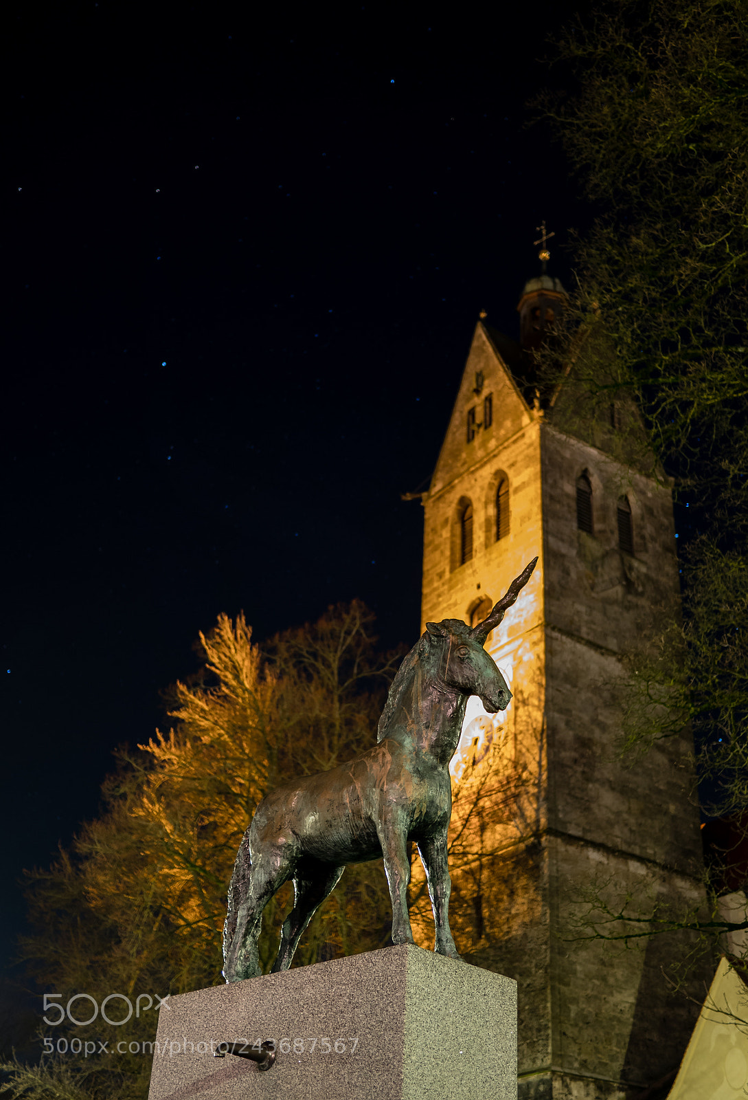 Panasonic Lumix DMC-GX85 (Lumix DMC-GX80 / Lumix DMC-GX7 Mark II) sample photo. Unicorn photography