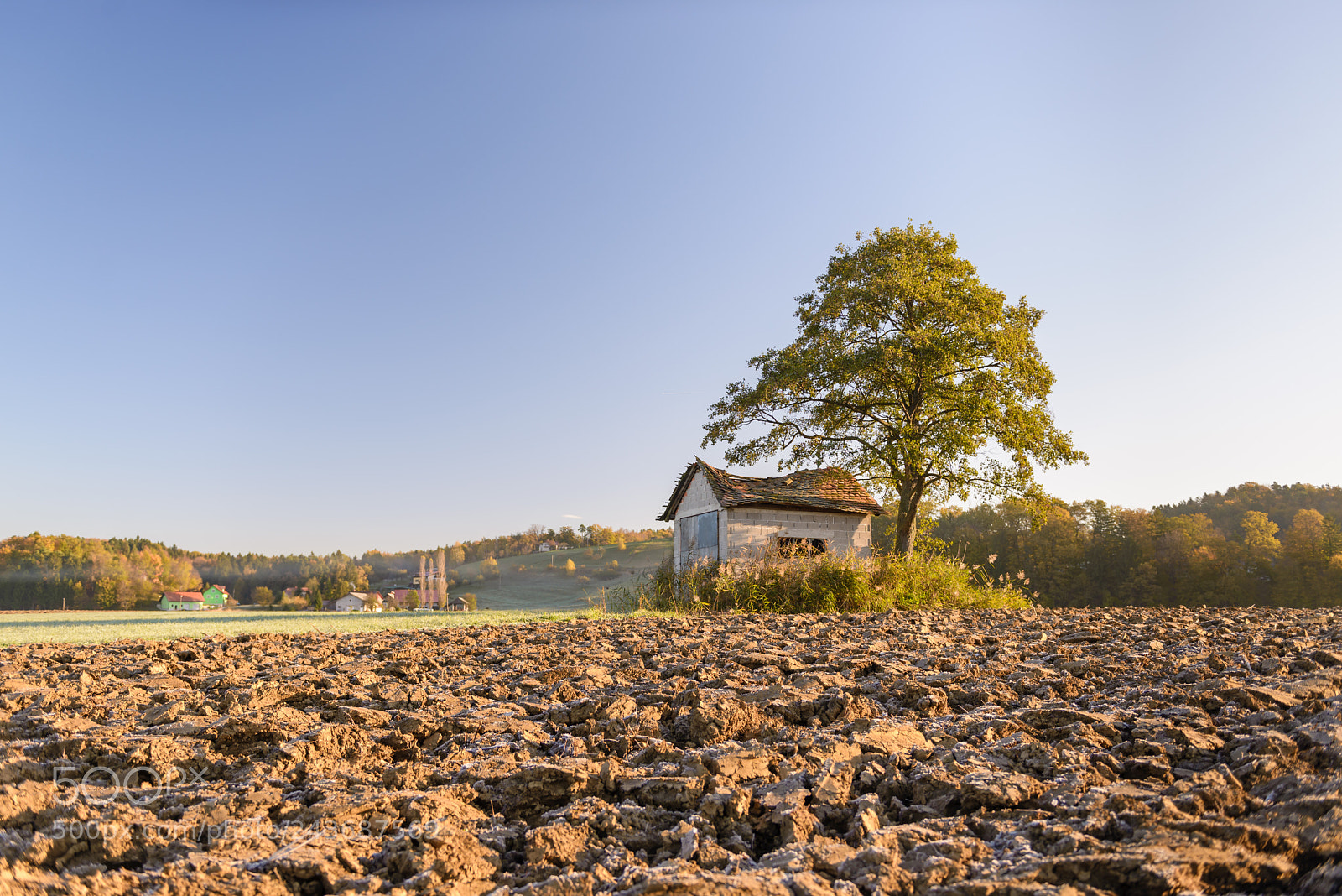 Nikon D600 sample photo. Abandoned shack, barn in photography