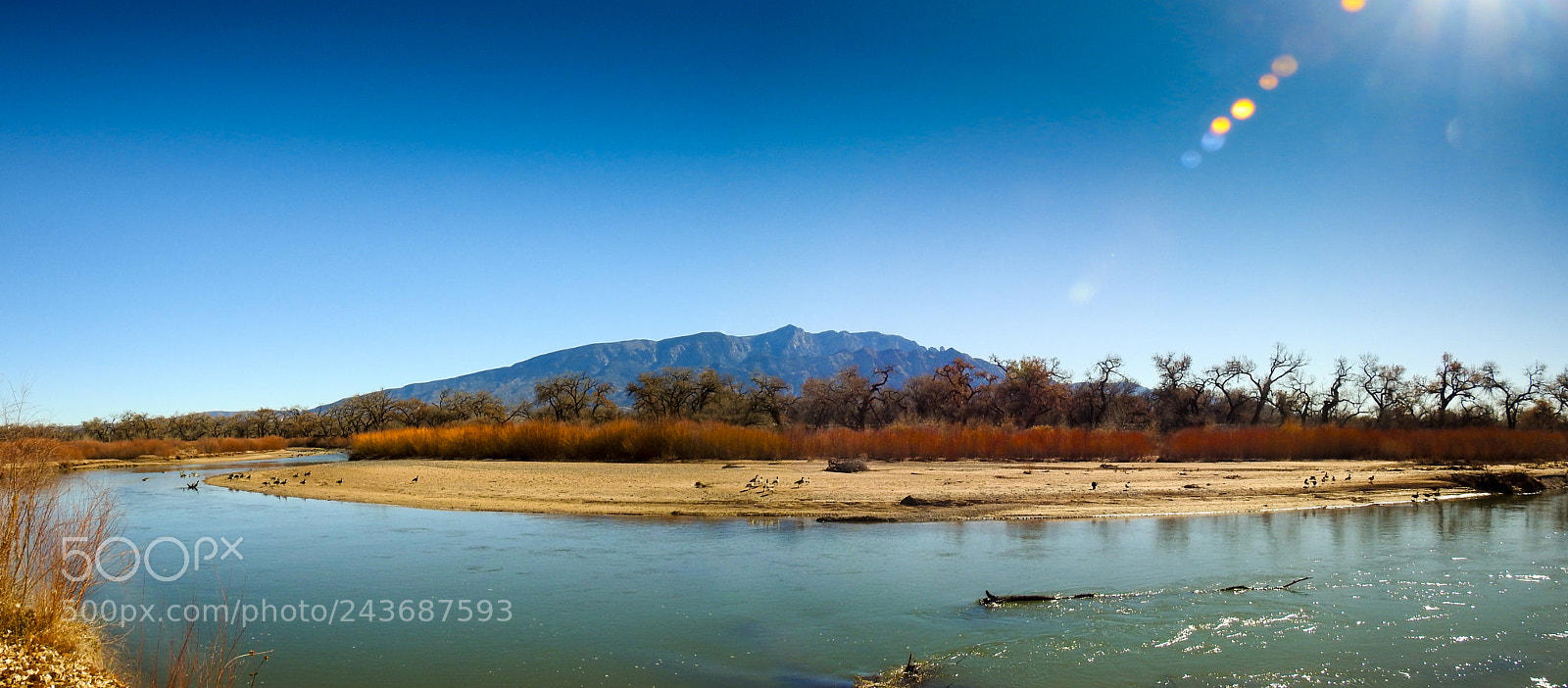 Nikon Coolpix P900 sample photo. Rio grande river bosque photography