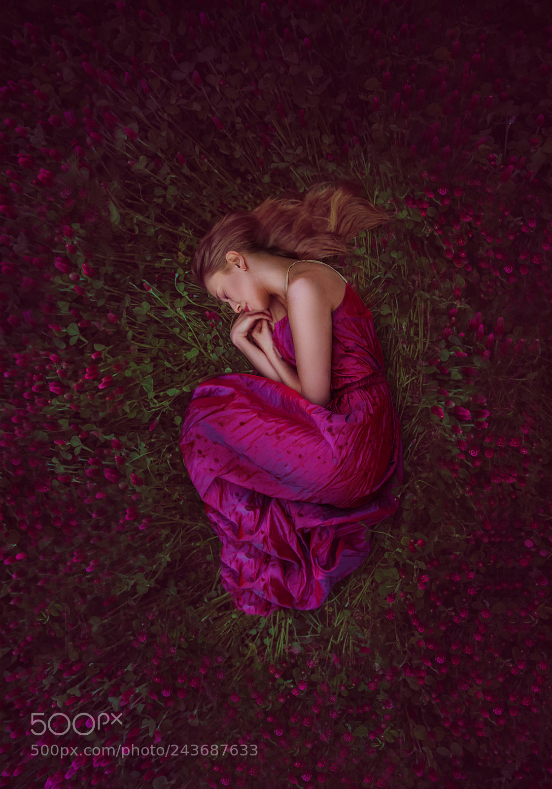 Nikon D7100 sample photo. Fragile beings photography