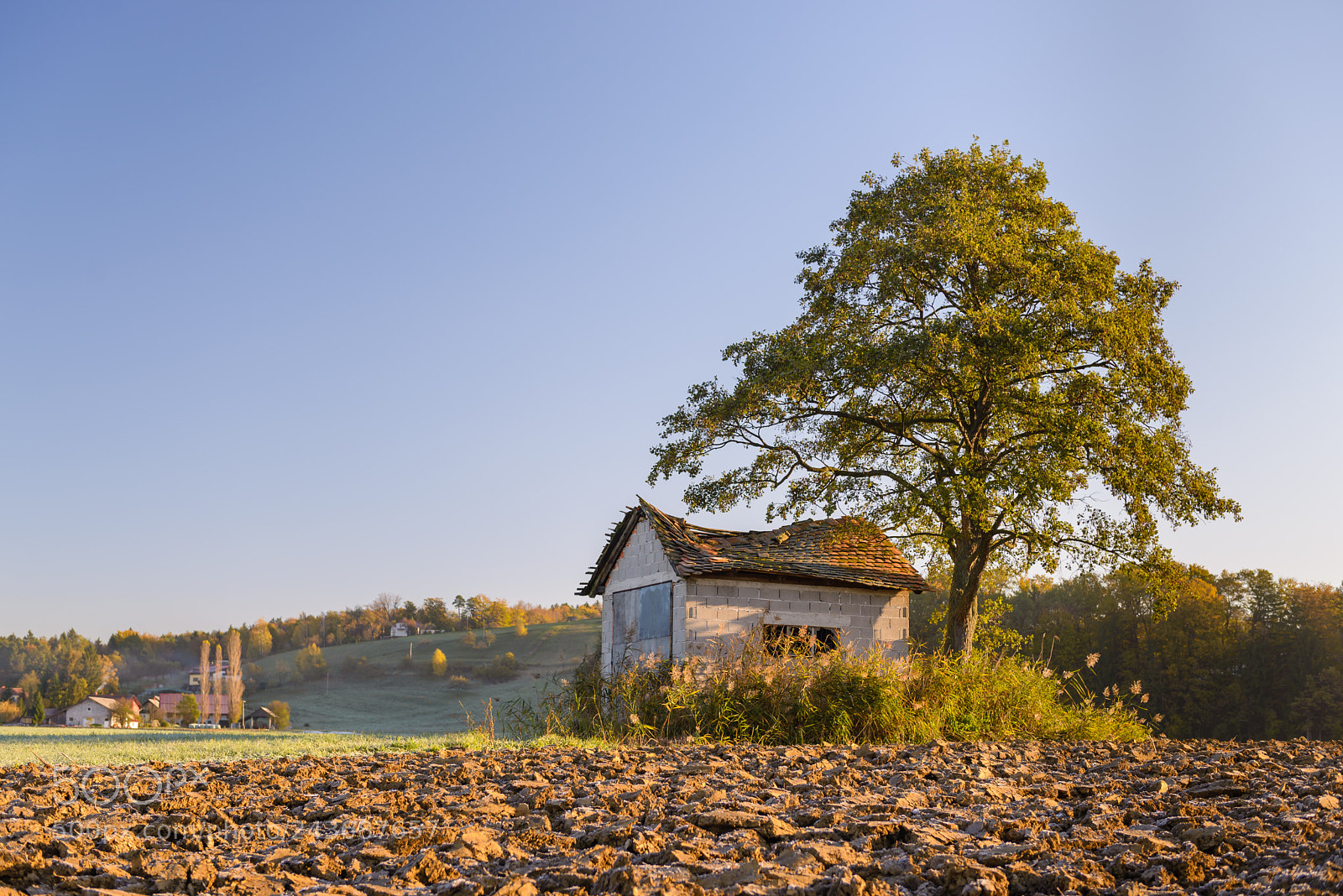 Nikon D600 sample photo. Abandoned shack, barn in photography