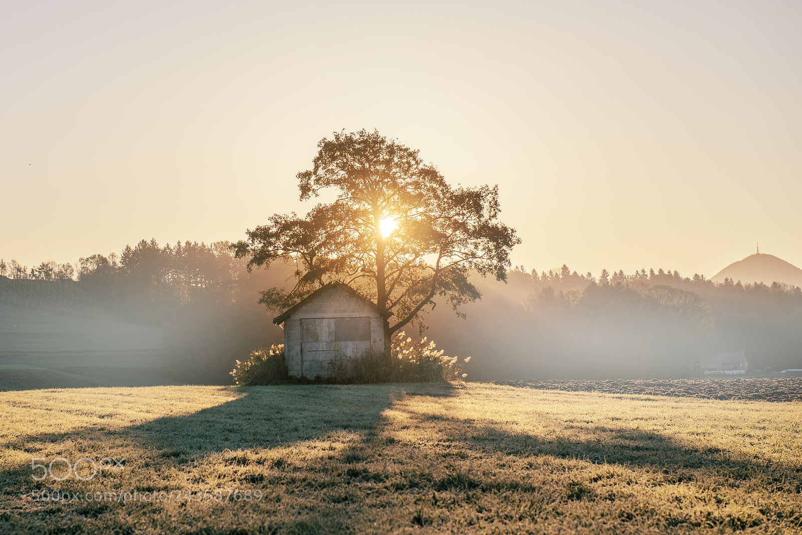 Nikon D600 sample photo. Abandoned shack, barn in photography