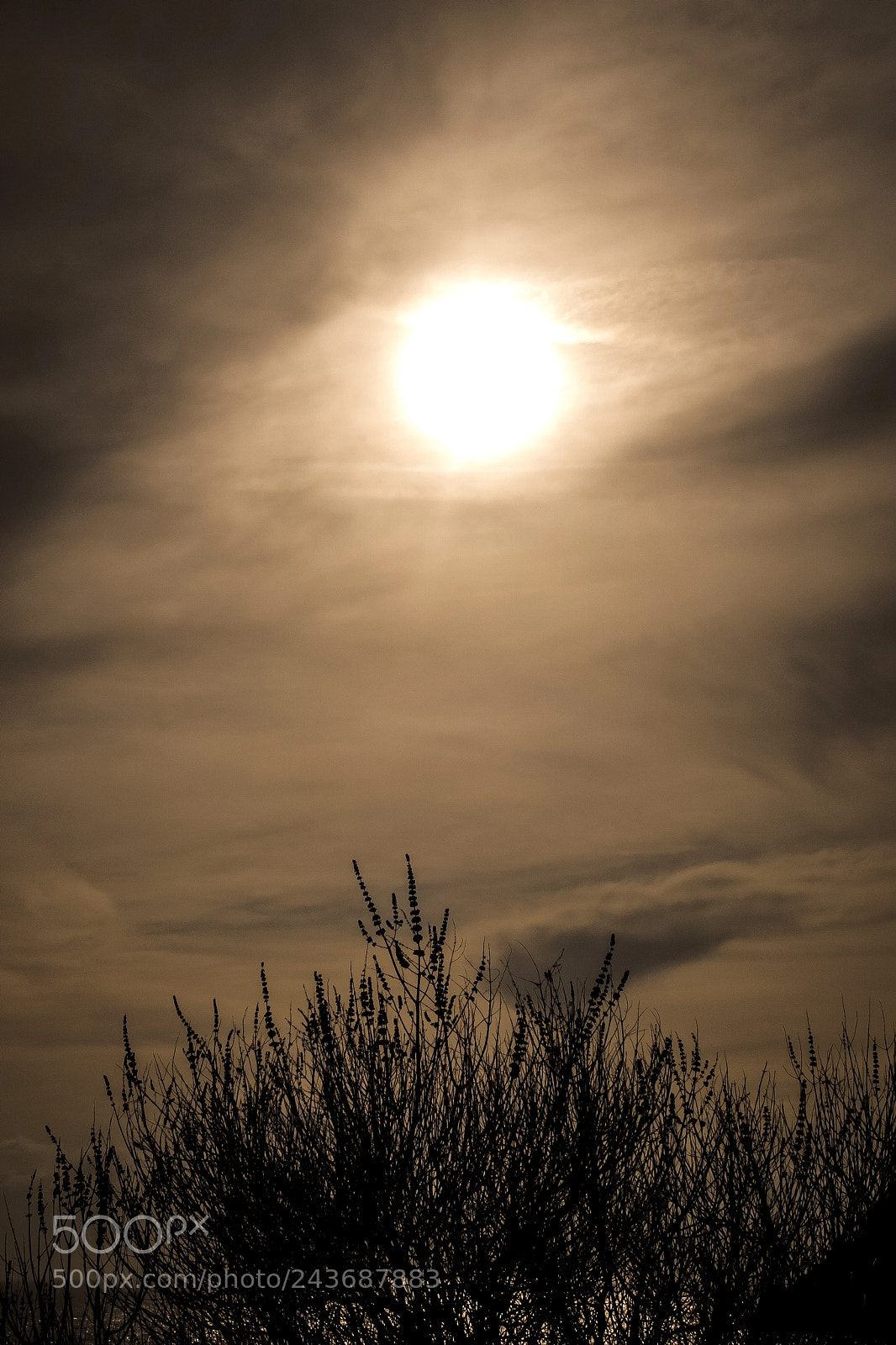 Fujifilm X30 sample photo. Sun photography