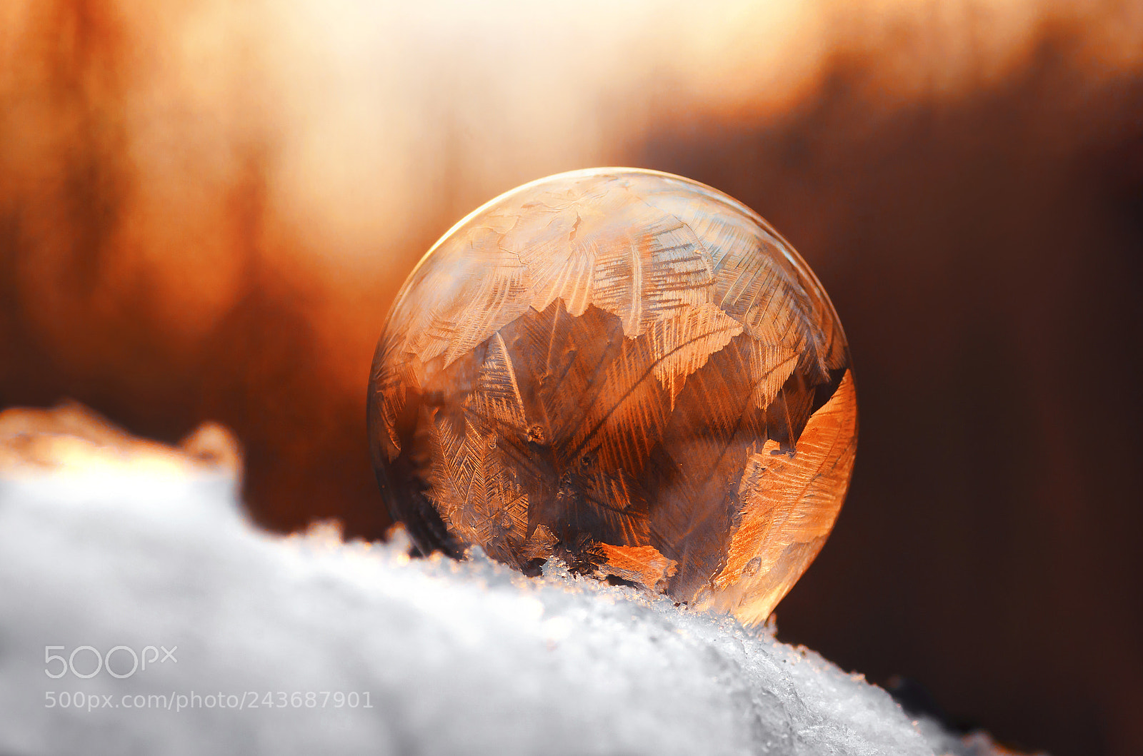 Nikon D5100 sample photo. Frosty morning photography