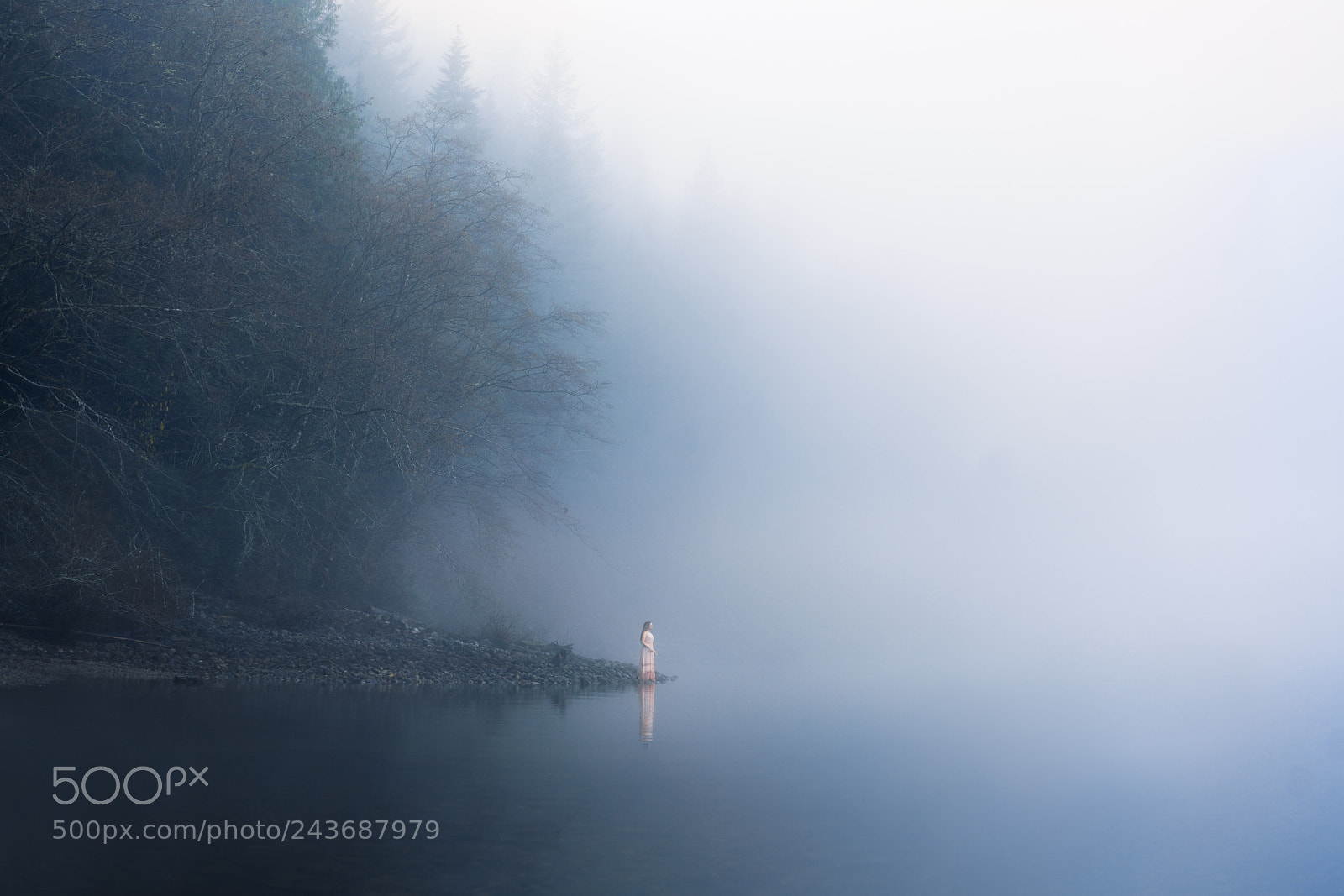Sony a7R II sample photo. Mystical mornings photography
