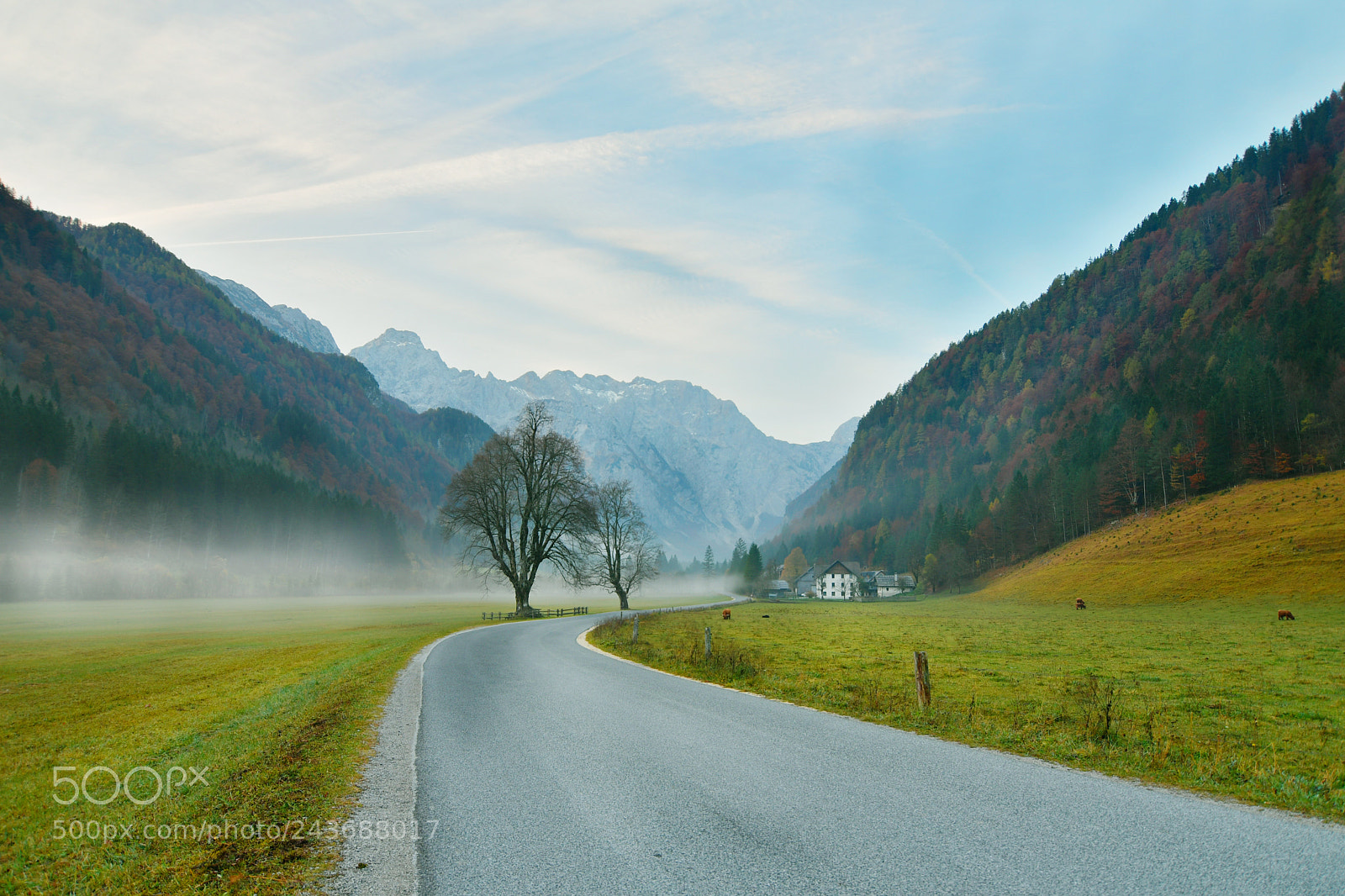 Nikon D500 sample photo. Logarska dolina - logar photography