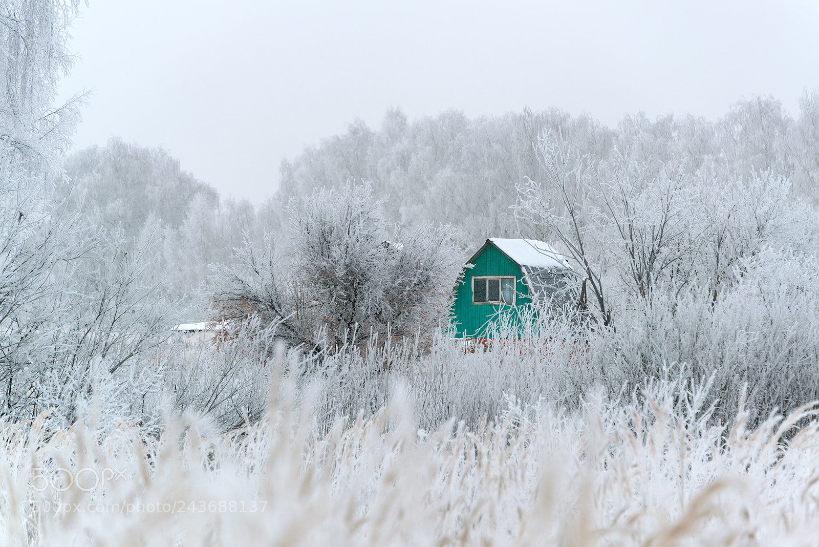 Nikon D800 sample photo. Russian winter photography