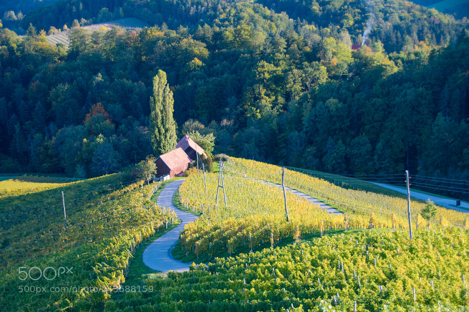Nikon D500 sample photo. Famous heart shaped wine photography