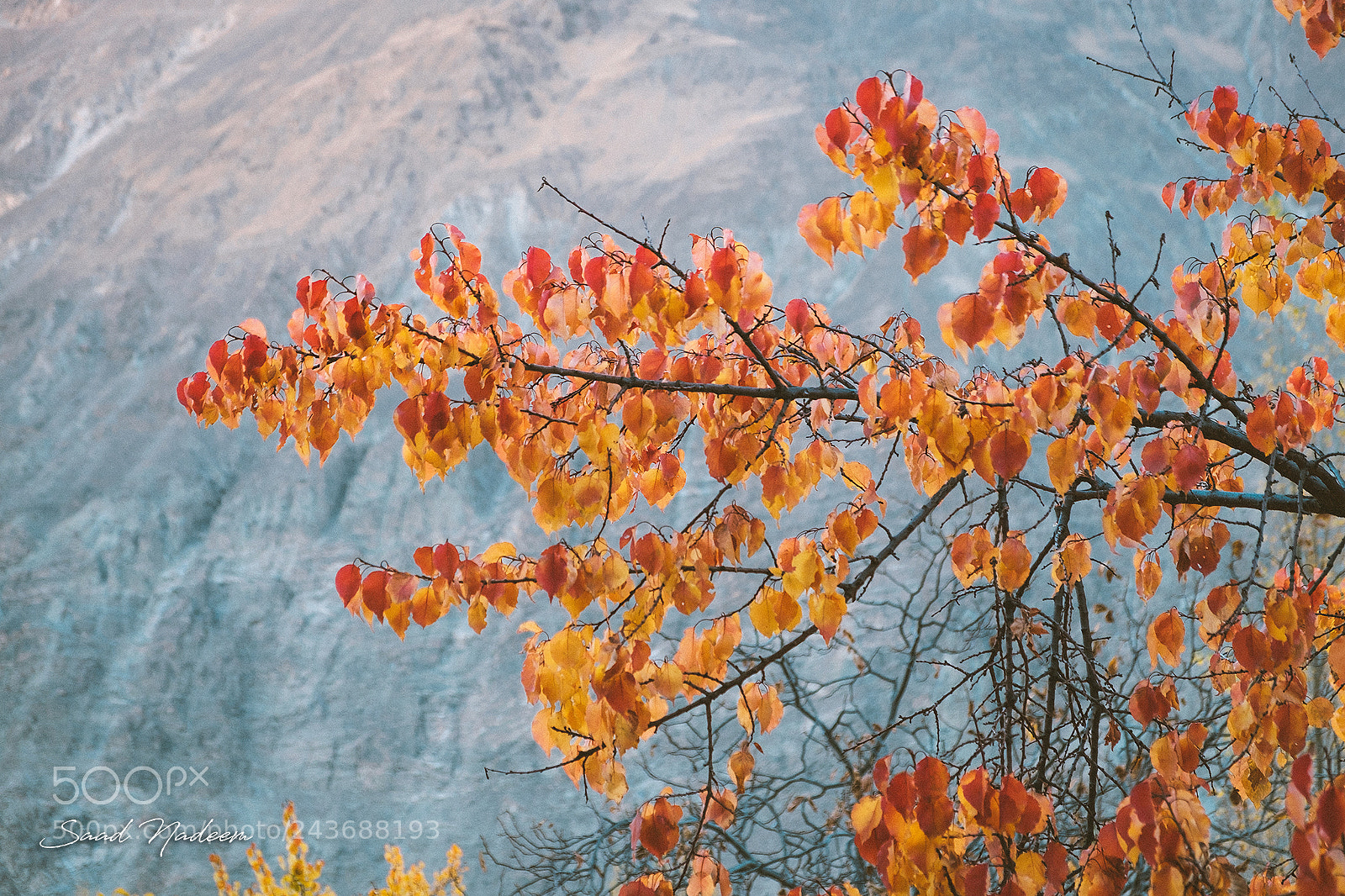 Fujifilm X-T10 sample photo. Beautiful autumn colors in photography