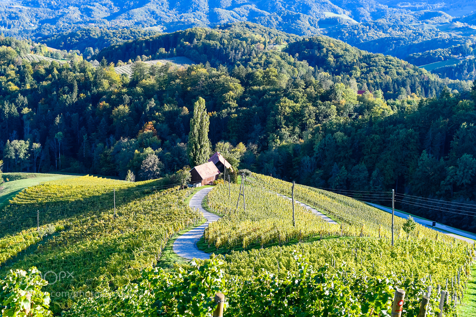 Nikon D500 sample photo. Famous heart shaped wine photography