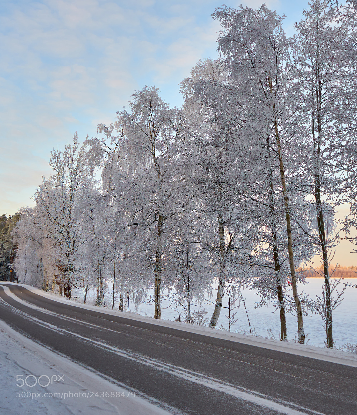 Sony a7 sample photo. White winter photography
