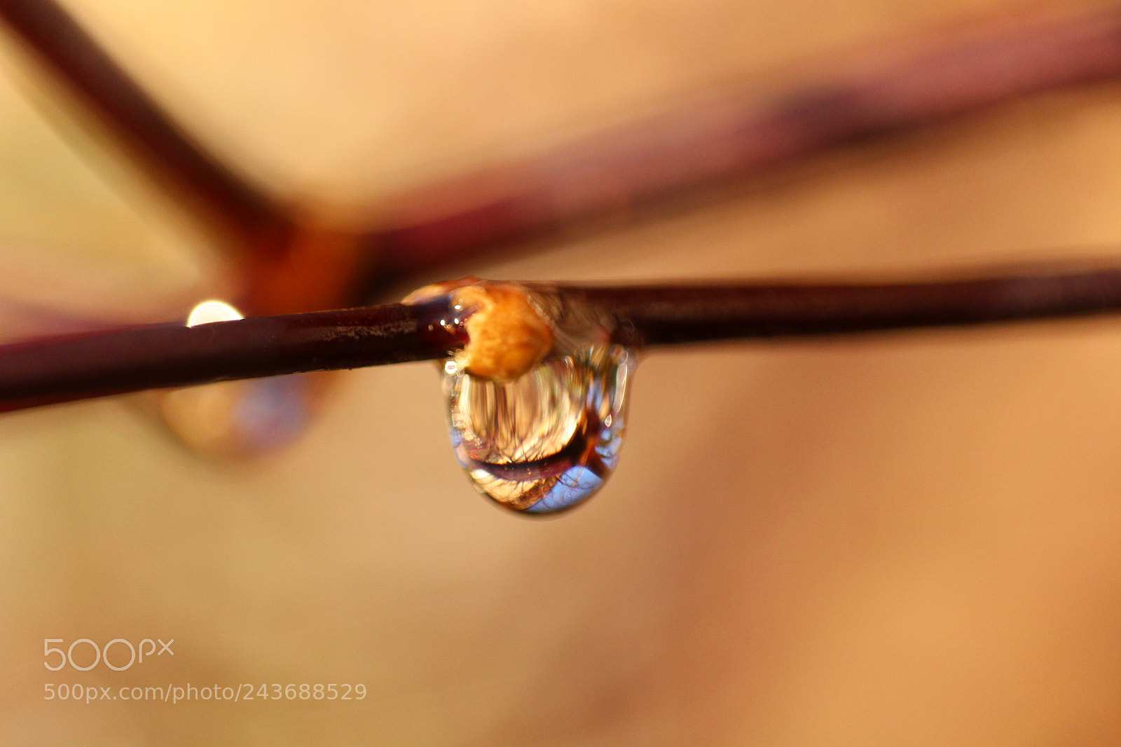 Canon EOS 100D (EOS Rebel SL1 / EOS Kiss X7) sample photo. Waterdrop photography